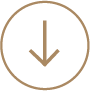 Pro Design Services - What We Need